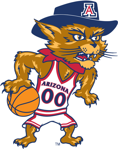 Arizona Wildcats 2003-Pres Mascot Logo v5 diy DTF decal sticker